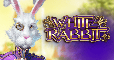 White Rabbit at Red Dog Casino